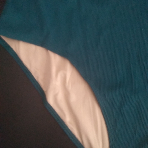 Old Navy Women’s Size 2XL Swimsuit Bikini Bottoms French Terry Green - Picture 2 of 6